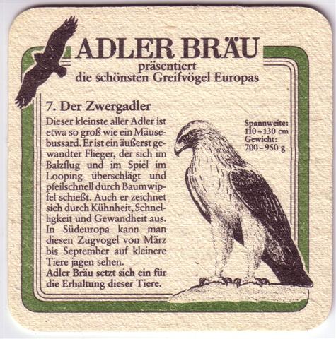 zuzenhausen hd-bw dachs adler greif 8b (quad180-7 der zwergadler)